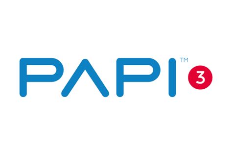 papi test|PAPI 3 Personality Test: Complete Study Guide .